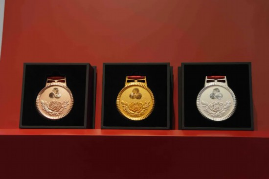 十五运会竞体项目会徽面